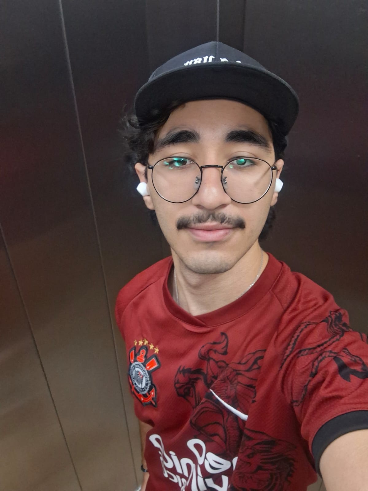 Luiz Henrique Braga Scorzafave
